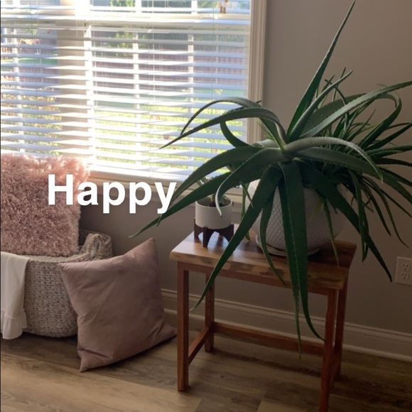 Meet your Posher, Melissa - Picture 1 of 1